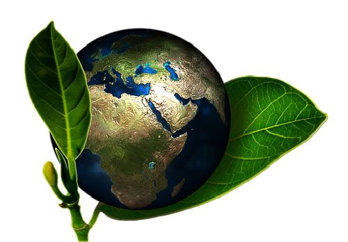 D 07v15 - ISO 14001 Environmental management system procedures version 2015 - Set of documents