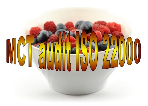 D 40 MCT ISO 22000 internal audit food safety management system online course set of documents