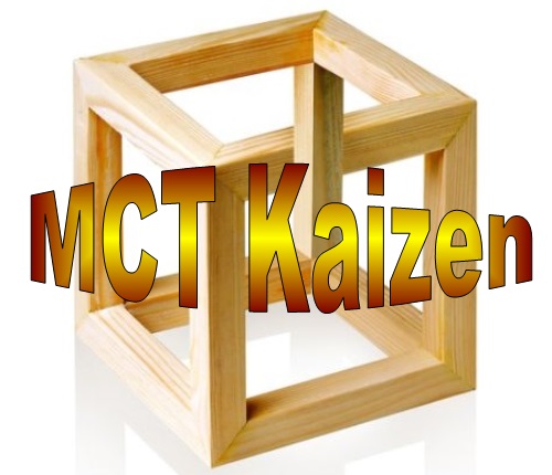 D 46 MCT Kaizen approach Step by step daily improvement set of documents