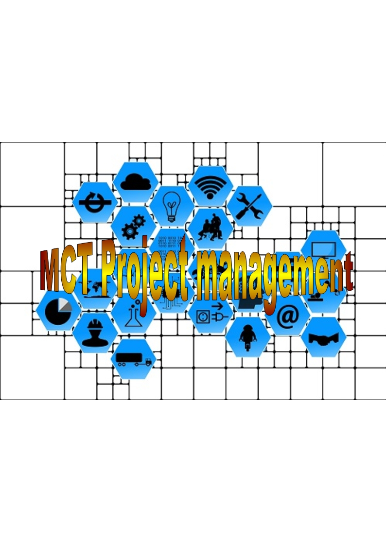 D 53 MCT Project management for your management system - set of documents