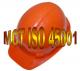D 18 MCT quiz and case studies ISO 45001 occupational health and safety management system