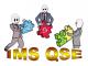T 19v18 - E-Learning - QSE integrated management system readiness version 2018