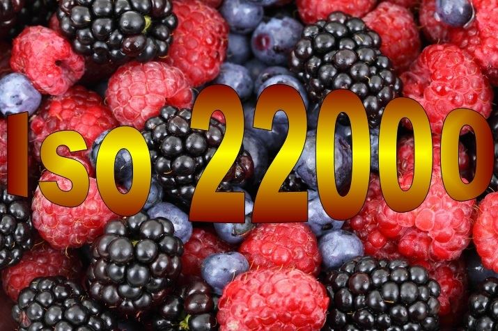 ISO 22000