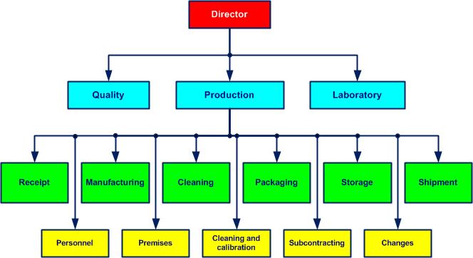 organization chart